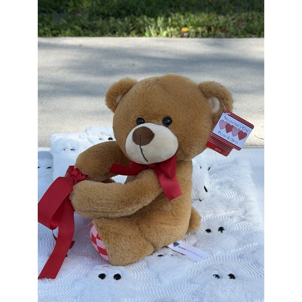 Aerial Bouquets Valentine Teddy Bear Plush Red Ribbon Heart Feet Stuffed